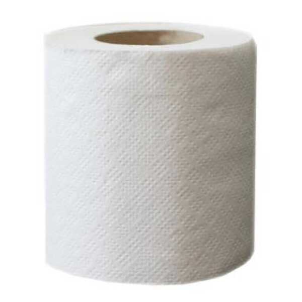 Papier WC 2 plis 22m blanc